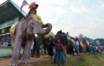 Elephant Festival held in Laos