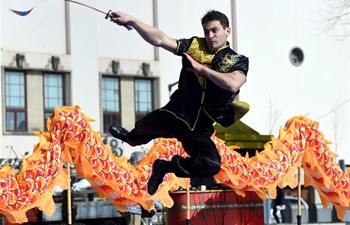 Chinese Spring Festival celebrated in Portugal