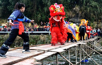Annual lion dance fair held in central China's Hunan