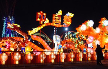 Lantern fair held in Hebei to celebrate Chinese New Year