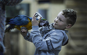 People interact with parrots at Parrot Academy in Warsaw, Poland
