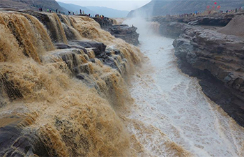 Annual spring flood seen in Hukou Waterfall scenic spot