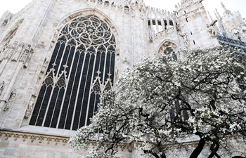 Flowers seen beside Duomo Cathedral in Milan, Italy