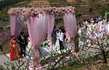 New couples hold wedding ceremonies at peach forest in east China