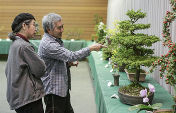 Spring Bonsai and Flower Exhibition held in Vancouver