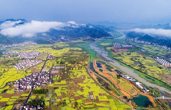 Aerial view of wetland park in Fenkou, E China's Zhejiang