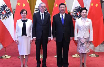 China Focus: China, Austria agree to establish friendly strategic 
partnership