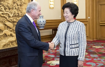 Chinese vice premier meets chairman of Blackstone Group