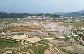 Scenery of terraced fields after rain in Baping Village, south China