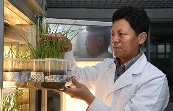 China, Uzbekistan strengthen scientific, technological cooperation