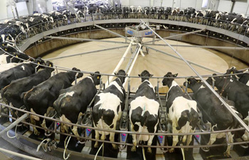 Feature: U.S. dairy farmer eager to take milk products to China