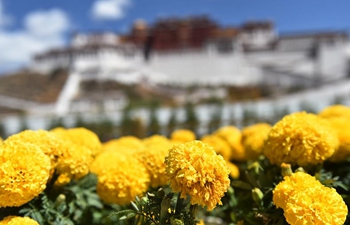 Scenery of Potala Palace in Lhasa, SW China's Tibet