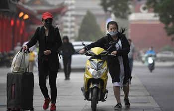Strong wind, dust hit NW China's Ningxia