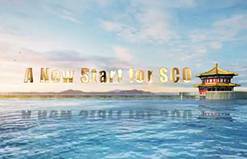 SCO - the power of cooperation