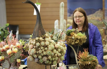Vancouver Desert Plant Show held in Canada