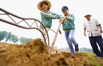 Students attend farming experience activity in N China's Hebei