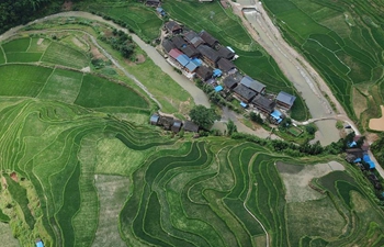 Scenery of Wuniangxi terraced field in SW China's Guizhou