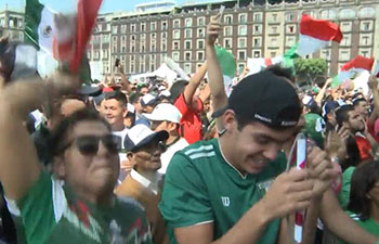 Although defeated, Mexico to pass to the next round in World Cup