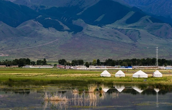 Wetland park in NW China's Xinjiang greets peak of summer tourist season