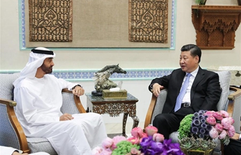 Chinese president meets Crown Prince of Abu Dhabi on China-UAE ties