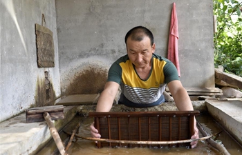 Xihe paper-making skills becomes new income source for people in China's Gansu