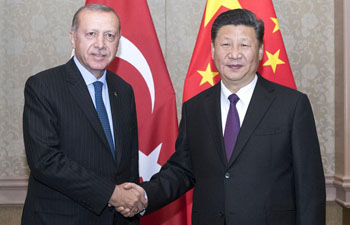 Xi, Erdogan agree to enhance China-Turkey cooperation