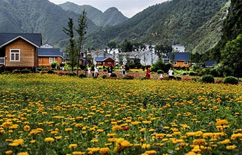 Villagers encouraged to start homestays with idle rooms to increase incomes in China's Shaanxi
