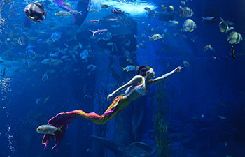 Visitors enjoy mermaid show at aquarium in Guiyang, China's Guizhou