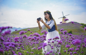 Tourists visit scenic spot in Tongzi, SW China's Guizhou