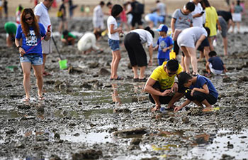 Visitors join in beachcombing for shells and crabs in China's Hainan