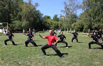 Participants perform Taiji to celebrate World Wushu-Kungfu Day in Bucharest, Romania