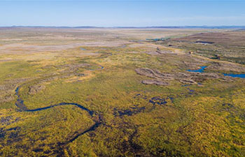 Aerial view of Xilingol grassland in China's Inner Mongolia