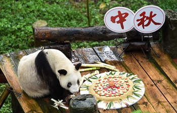 Giant panda tastes specially-made mooncake at Chongqing Zoo