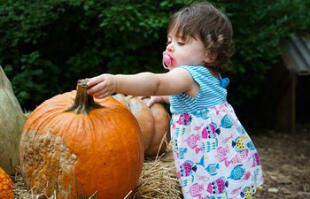 In pics: Spooky Pumpkin Garden in New York