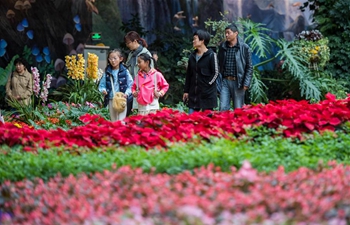 Flower-themed complex in Kunming attracts tourists