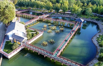 Ecological park constructed on site of waste land in China's Hebei