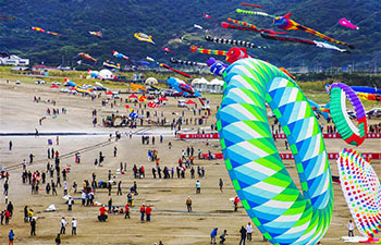 Kite flying contest held in China's Zhejiang
