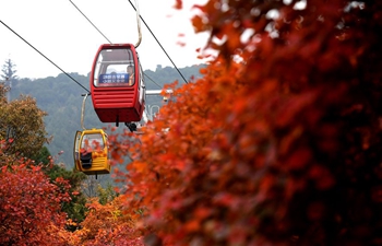 Red leaves attract tourists at Badachu Park in Beijing
