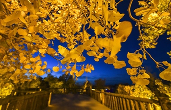 Xinjiang's beauty in autumn