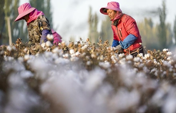 Pic story: life of seasonal worker for cotton high time in Xinjiang