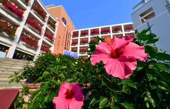 Campus surrounded by flowers in Nanning, China's Guangxi