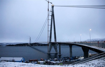 Norway's 2nd largest bridge built by Chinese firm opens to traffic