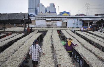 Villagers dry fish in Jakarta, Indonesia