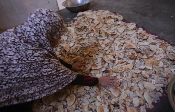 Palestinian woman dries bread remains in Gaza Strip city of Khan Younis