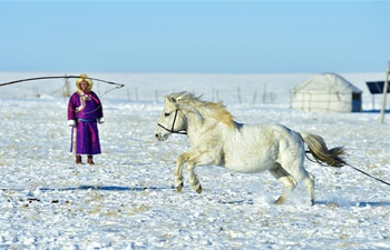 Herdsmen demonstrate horse lassoing in north China's Inner Mongolia