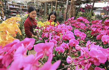 People busy preparing flowers for Spring Festival demands