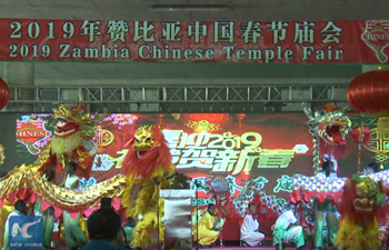 Chinese Embassy in Zambia holds Spring Festival Temple Fair