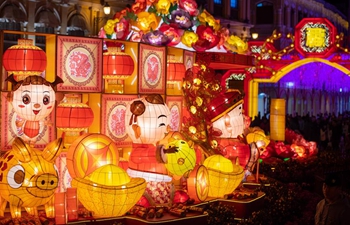 Pig-themed lantern decorations in Macao welcome upcoming Chinese Lunar New Year