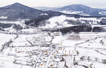 Snow-covered village turned into popular tourist destination in NE China