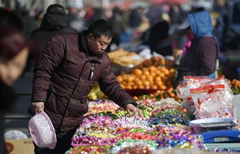 Customers shop at local market for Spring Festival in NW China's Ningxia
